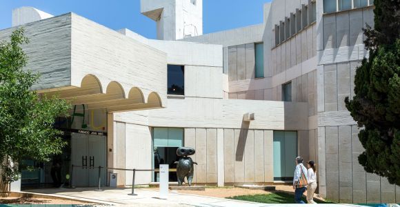 Barcellona: Biglietto d'ingresso prioritario per la Fundació Joan Miró