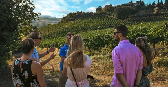 Visita a una bodega ecológica y cata de vinos en Siena