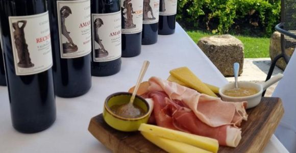 Valpolicella : dégustation de vins sur une terrasse spectaculaire