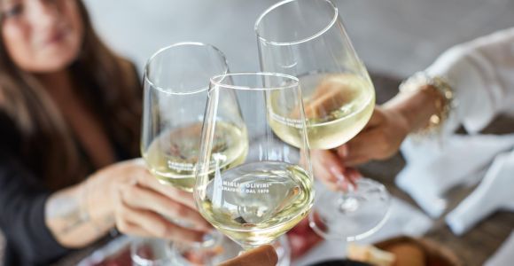 Desenzano: degustacja win Lugana z wycieczką po winnicy