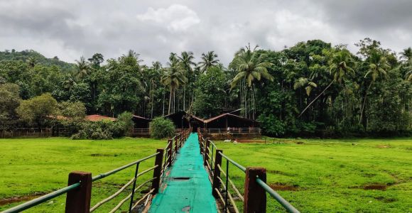 Goa: Excursión a la Plantación de Especias y Almuerzo Tradicional Local