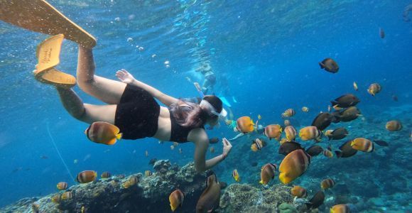 Desde Bali: Excursión a Lembongan y Penida en 3 Lugares para Hacer Snorkel