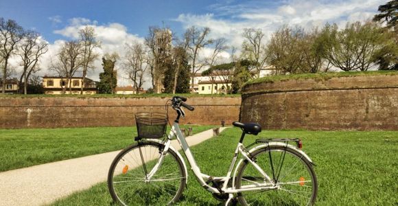 Lucca: wypożyczenie roweru miejskiego na jeden dzień
