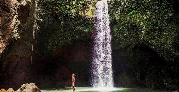 Ubud : Circuit des chutes d'eau spectaculaires