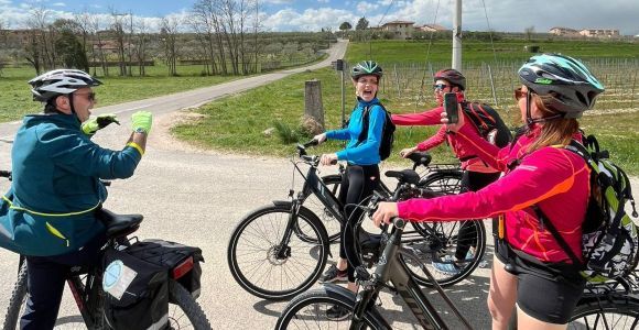 Excursion en E-Bike avec dégustation de vins dans la région de Bardolino