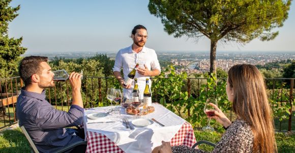 Верона: дегустация вин с закусками и панорамным видом на город