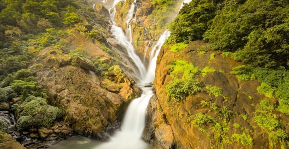 From Goa: Dudhsagar Waterfalls & Plantation Tour