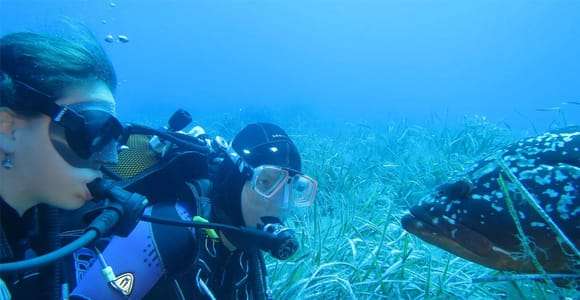 MARINA DI CAMPO: DIVING ON THE ISLAND OF ELBA AND PIANOSA