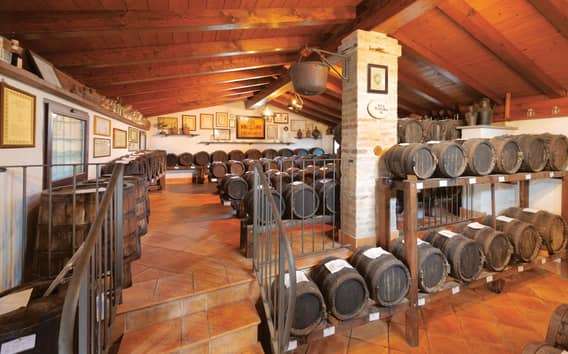 Balsamico Verkostung Modena: Führung durch die Familien-Acetaia
