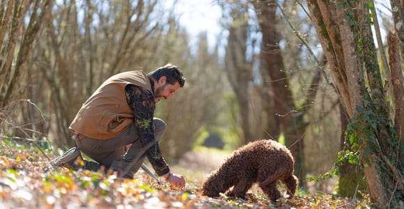 Citerna: Trüffelsuche mit Hunden im Wald