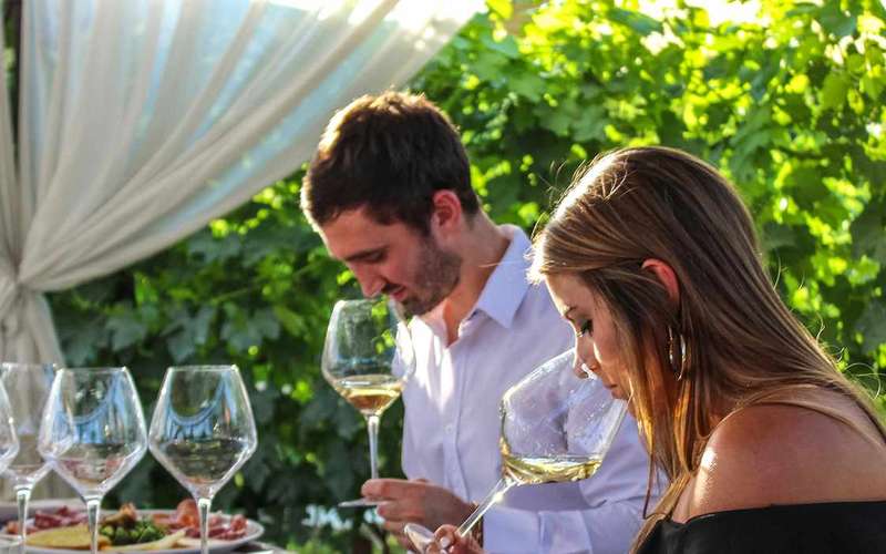 San Gimignano: Wine and Oil Tasting with Tuscan Appetizers