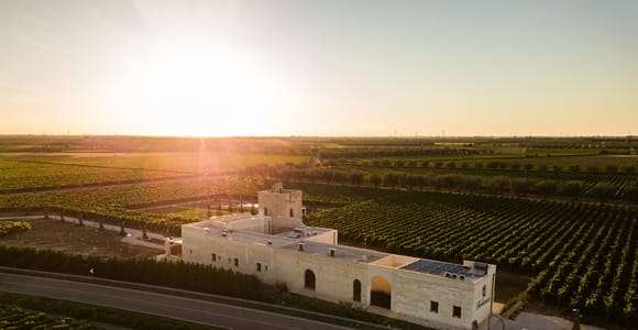 TORLEANZI: visita y degustación de vinos en una bodega de Torre San Gennaro