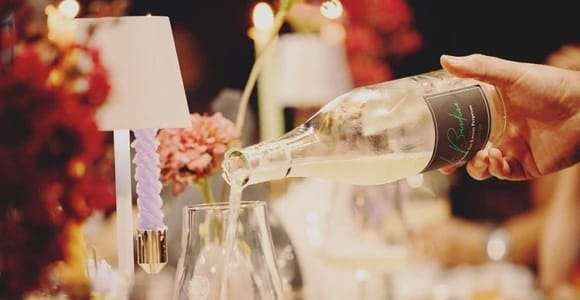 Parma: Visit the Vineyard and Taste 5 Local Wines