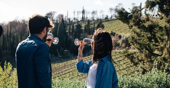 Från Florens: Chianti Hills halvdagsutflykt med vinprovning