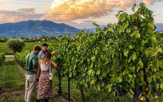 Franciacorta Family Winery in Corte Franca, Tour and Tasting