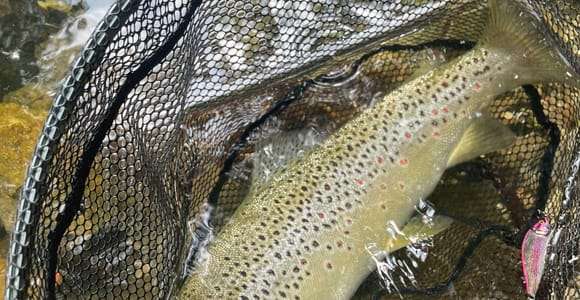 Bassano del Grappa: Angelausflug am Fluss Brenta