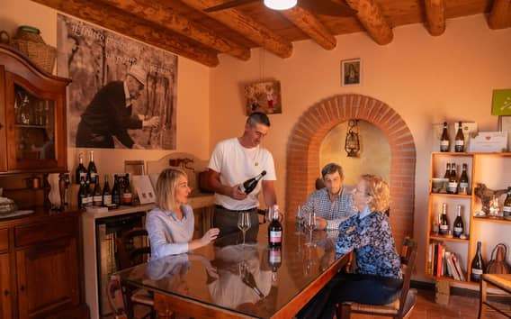 Wijntour vanuit Verona: Prosecco en Amarone in een halve dag
