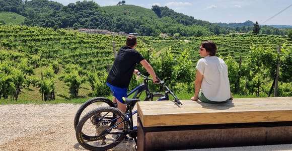 Valdobbiadene: tour guiado en bicicleta eléctrica por las colinas del Prosecco