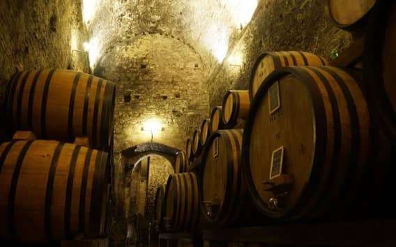 Cata de vino y tour de una bodega en Montepulciano
