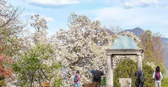 Verbania: Botanischer Garten der Villa Taranto – Eintrittskarte