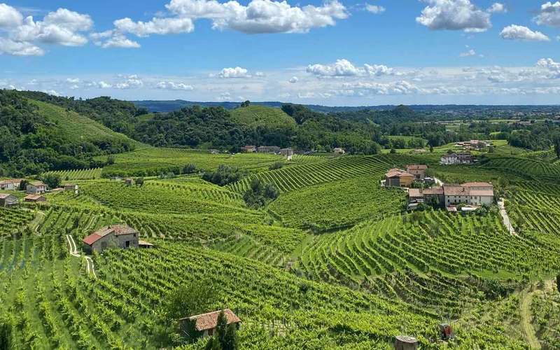 Cata de Prosecco desde Padua: colinas y Molinetto della Croda