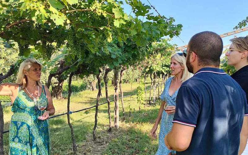 Cavaion: Degustazione di vini e cibi del lago di Garda con tour gastronomico