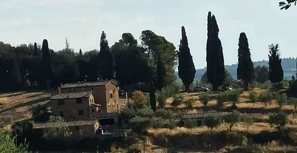Pisa y Florencia Excursiones Privadas en Tierra desde Livorno