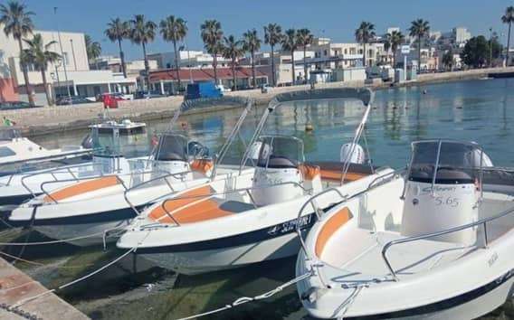 Bootverhuur zonder vaarbewijs in Porto Cesareo, tot 7 personen