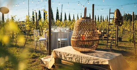 Desde Siena/Chianti: Cena y copas en los viñedos de Chianti