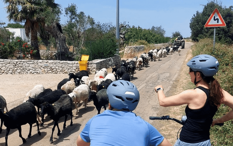 Lecce: e-bike túra Galatinába olajmalom-látogatással és borkóstolóval