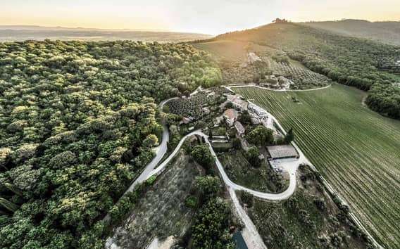 Weinverkostung am Trasimenischen See: Weingut Montemelino