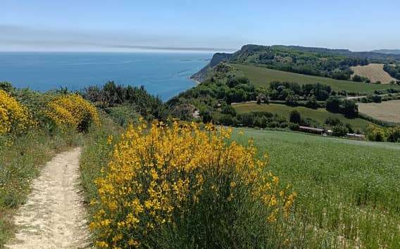 Senderismo en el Monte San Bartolo con guía de naturaleza