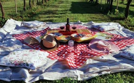 Lucca: Comida campestre en un viñedo en bicicleta