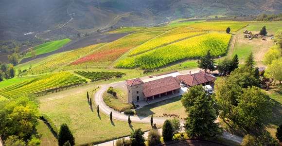 Tenuta Bonzara - Rundtur och vinprovning i Colli Bolognesi