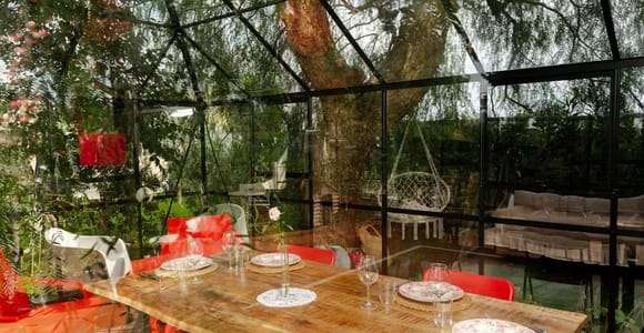 Clase de cocina: aprende a hacer «orecchiette y albóndigas» en el campo de Ostuni