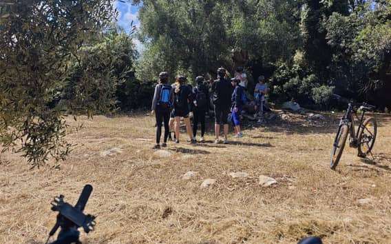 Ruta en bicicleta por los olivos centenarios de Ostuni