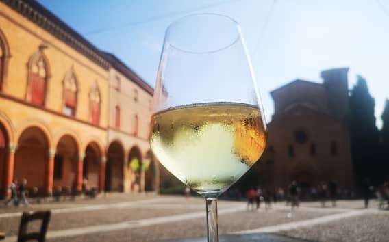 Weinprobe in Bologna mit Weinexperte und Colli Bolognesi