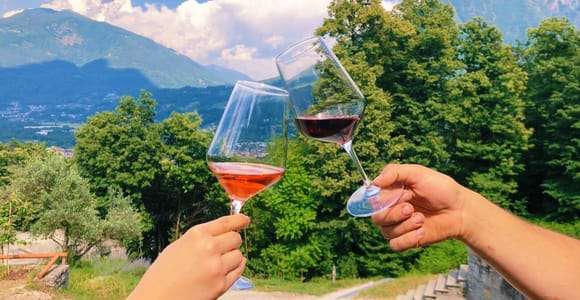 Domodossola: Ossola Valley Winery Tour mit Verkostungen