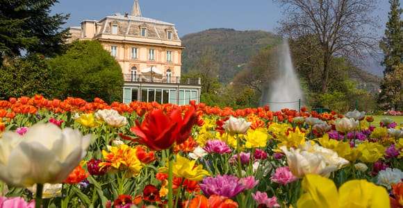 Stresa: Bootsfahrt und Besuch der Gärten der Villa Taranto