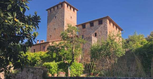 Siena: Visita y Cata de Vinos en un Castillo Privado de la Toscana