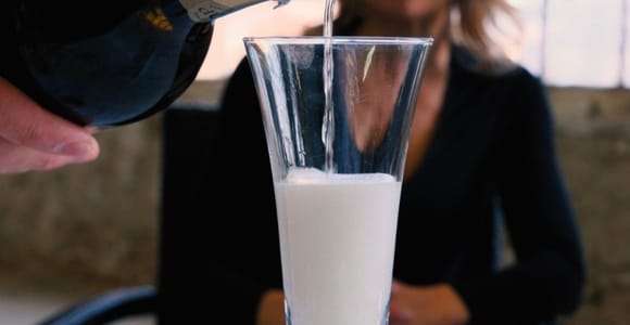 Venice: Murano Glass Factory Guided Tour with Prosecco