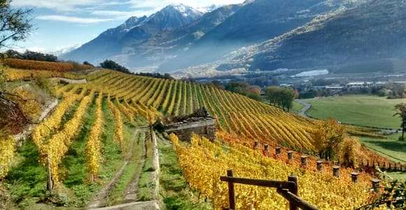 Valle d'Aosta: Visita e prova de vinhos na adega Grosjean
