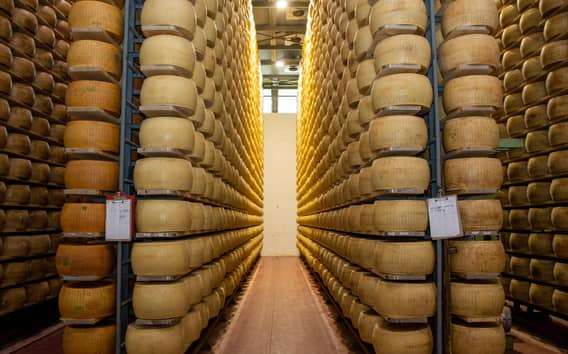 Parmigiano-Reggiano-Hof in Formigine: Tour mit Verkostung