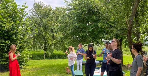 Sirmione: Vineyard Tour with Lugana Wines and Local Tastings