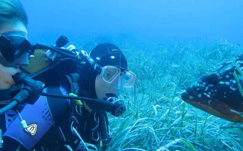 MARINA DI CAMPO: POTÁPĚNÍ NA OSTROVĚ ELBA A PIANOSA