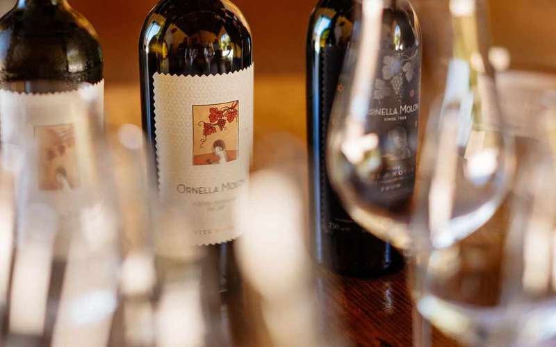 Oderzo: Piave wine tasting at Ornella Molon winery