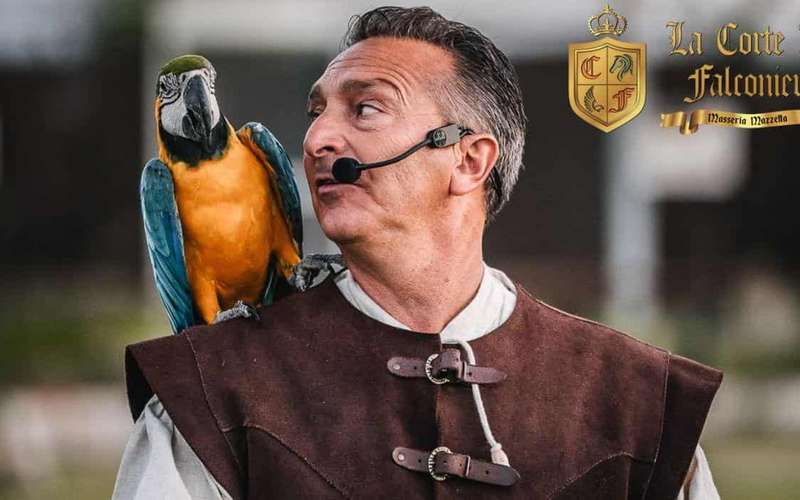 Reggeli papagájokkal a Masseria Mazzetta parkban