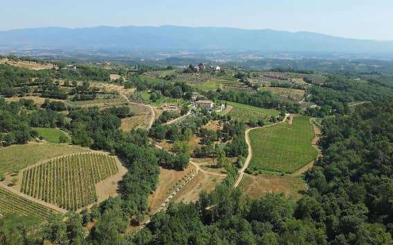 Ochutnávka vín na biodynamickém statku u Arezza