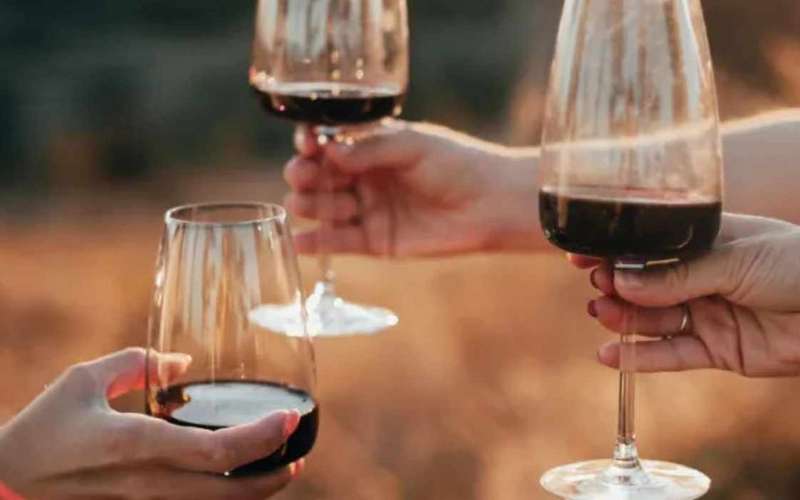 Oltrepò Pavese: degustacja 4 win z przekąskami i zwiedzanie piwnicy