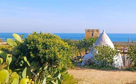 Ab Bari: Polignano Alberobello Matera und mehr Tour